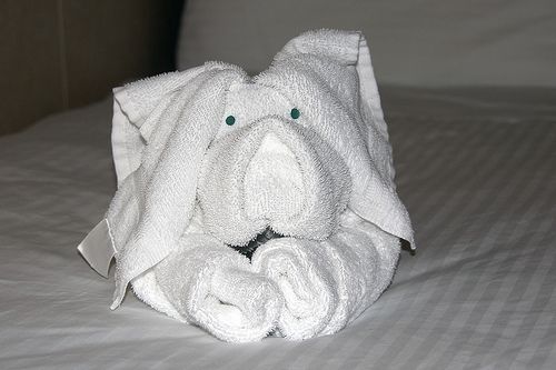 The Hilarious Reality of Your Towel