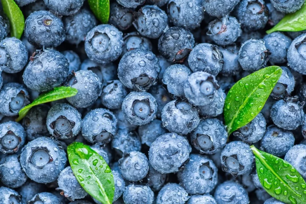 12 Superfoods to Supercharge Your Memory
